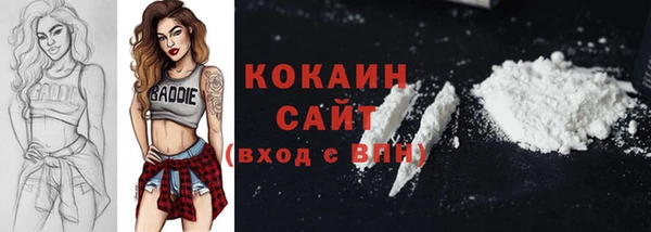 индика Рославль
