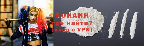 индика Рославль