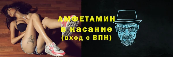 индика Рославль