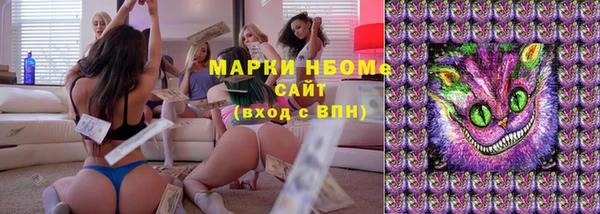 индика Рославль
