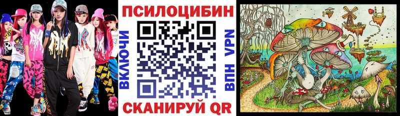 нарко площадка официальный сайт  даркнет сайт  Курчалой  Псилоцибиновые грибы Cubensis 